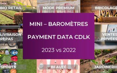 [Baromètre Payment Data] Performances 2023 vs 2022 des top enseignes par secteur